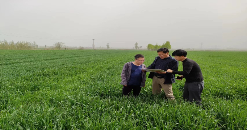 两部门：规范风电场项目使用林地草地手续办理