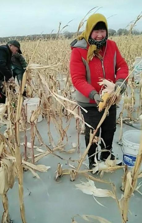 河北农民的这个冬天