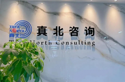 人保服务 ,人保伴您前行_2026城市公交市场调查与发展趋势预测