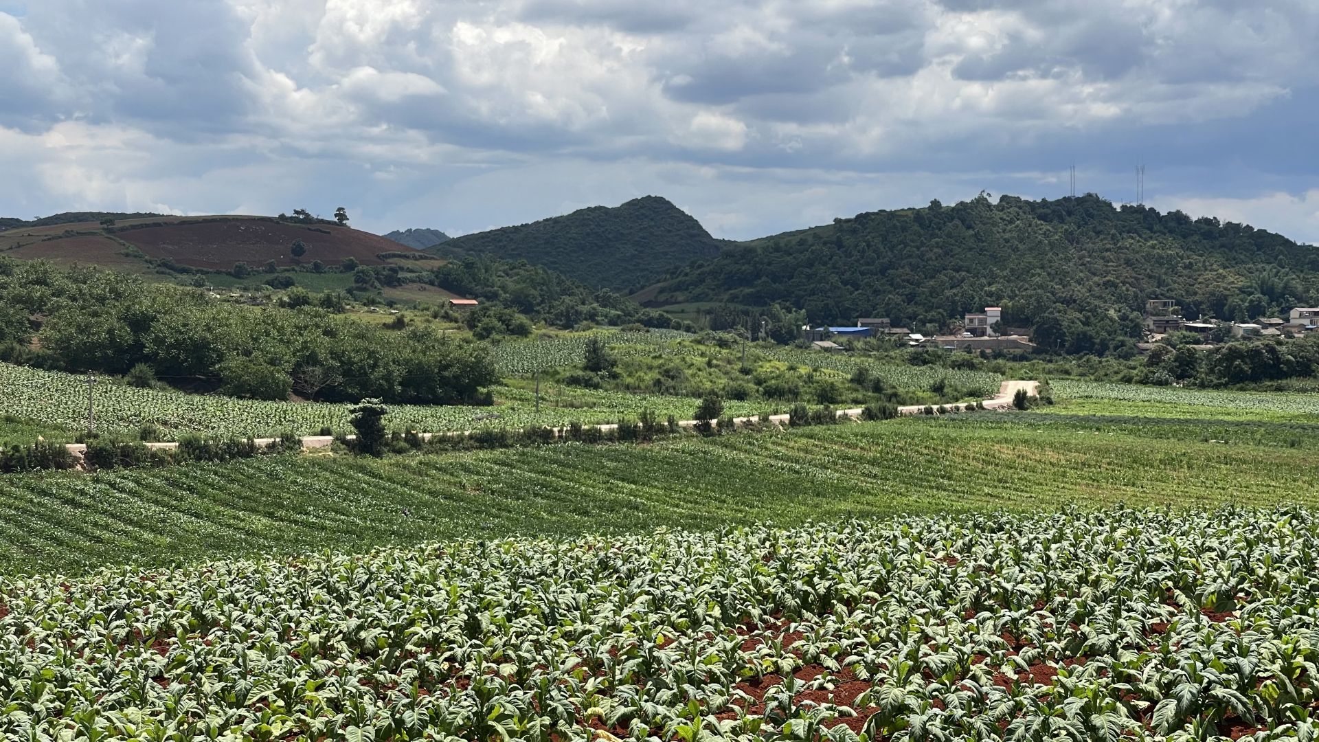 韩文秀:要加力实施新一轮粮食产能提升行动