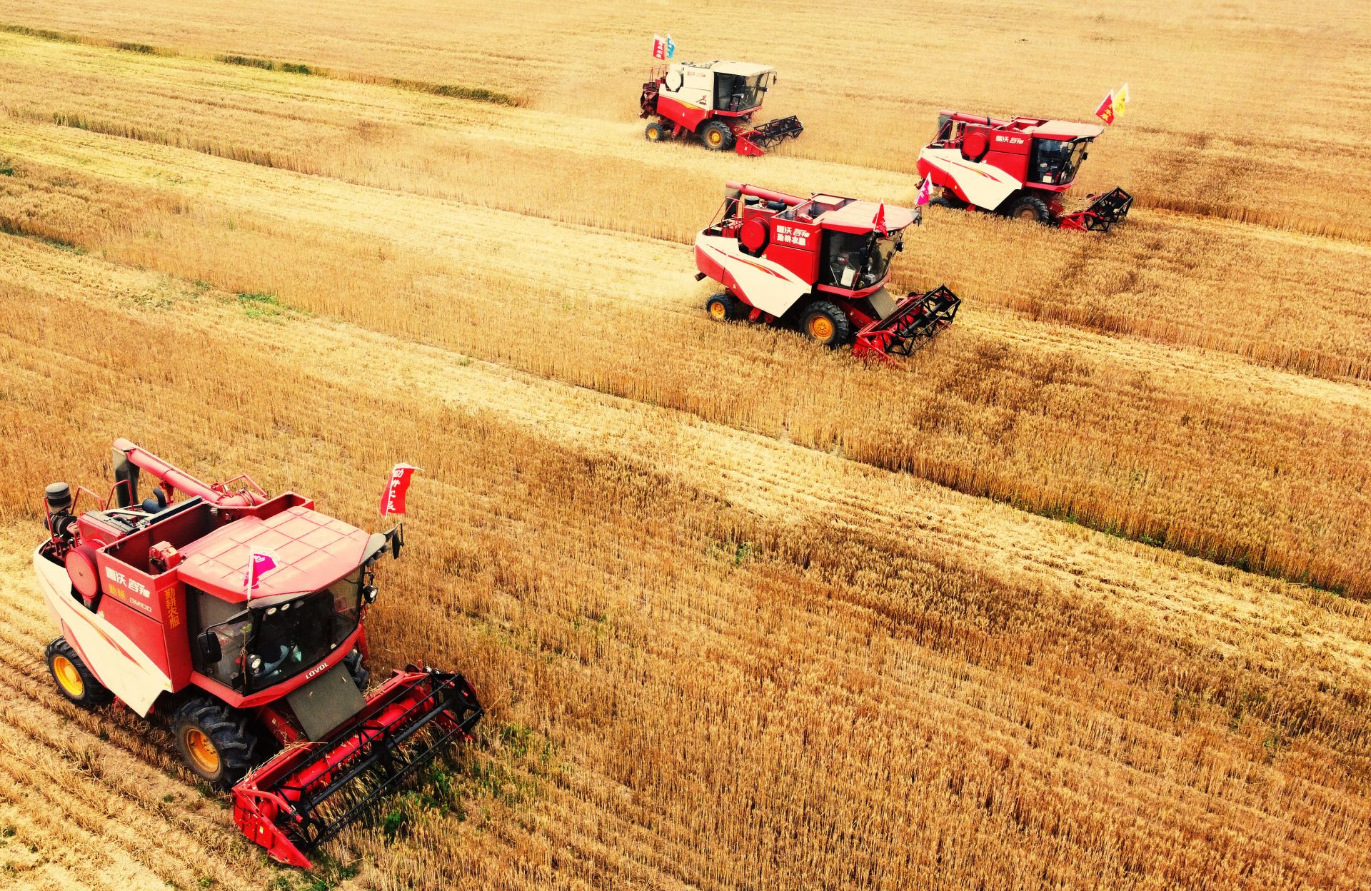 韩文秀:要加力实施新一轮粮食产能提升行动