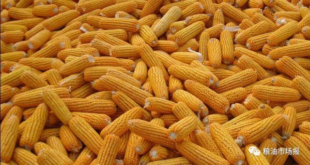 002830，“天地板”后“地天板”，近4亿资金封板！智慧农业迎政策利好