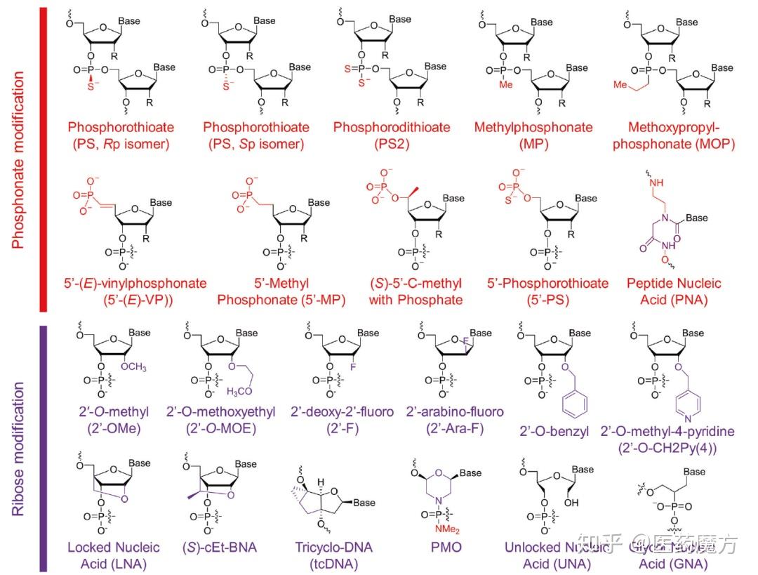 前沿生物公布国际专利申请：“一种用于抑制KRAS基因表达的siRNA及其修饰物与应用”