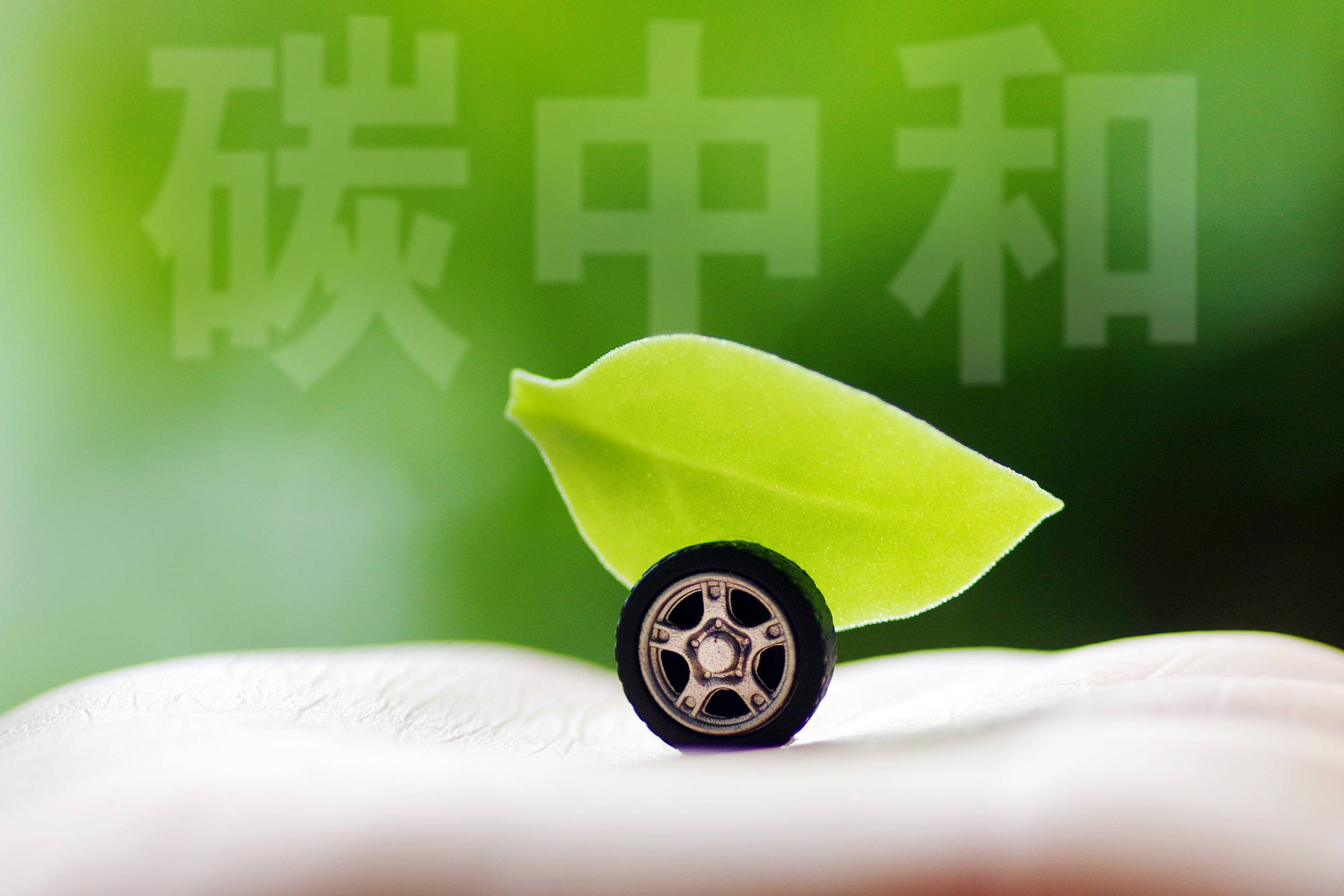 数据显示我国经济社会绿色转型加速推进