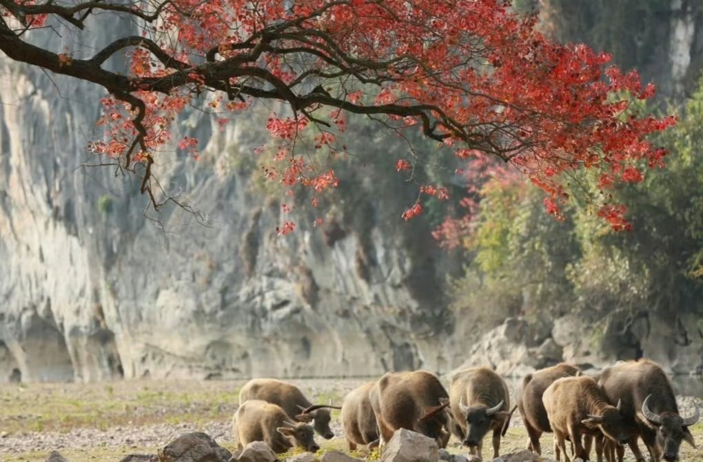 辰安科技：截至2026年2月10日，公司股东总数为14,937