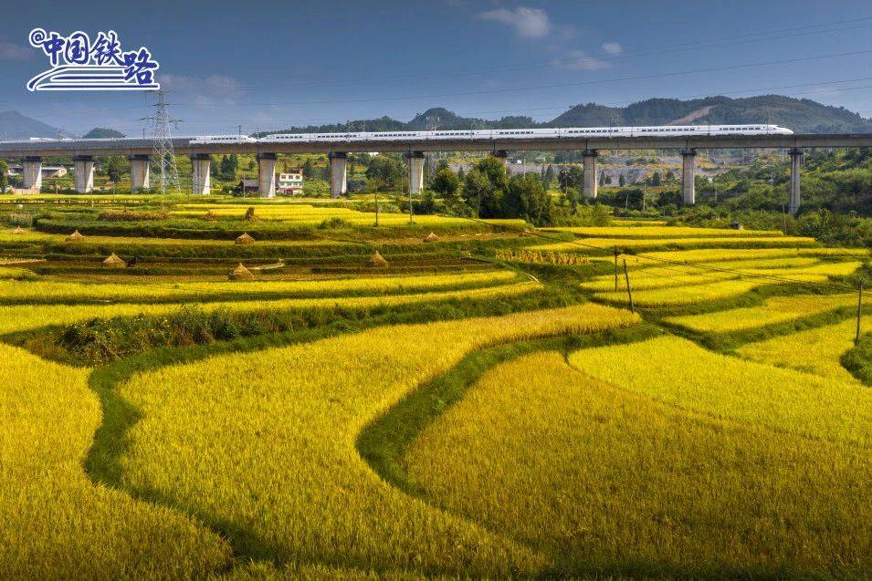 贵广网络预亏超10亿元，连亏六年借壳传闻再起