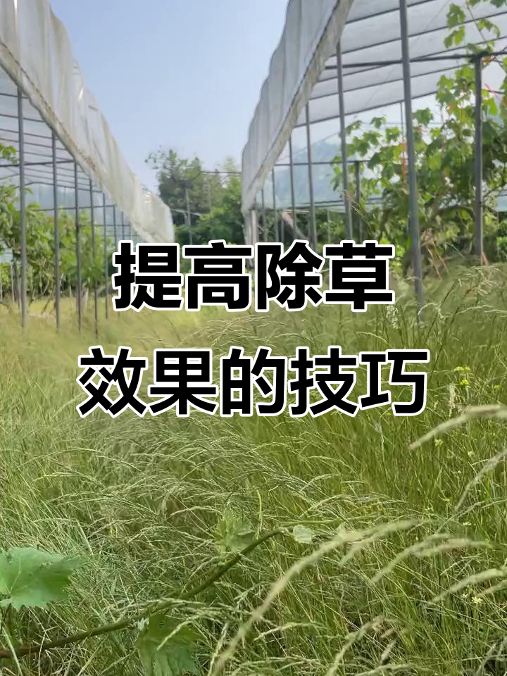 2026草甘膦产业：当“除草剂之王”遭遇“绿色审判”_人保车险   品牌优势——快速了解燃油汽车车险,人保护你周全