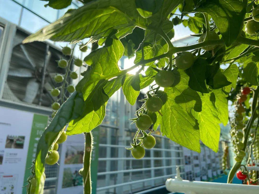 “十万亿”山东掀起了绿色能源变革