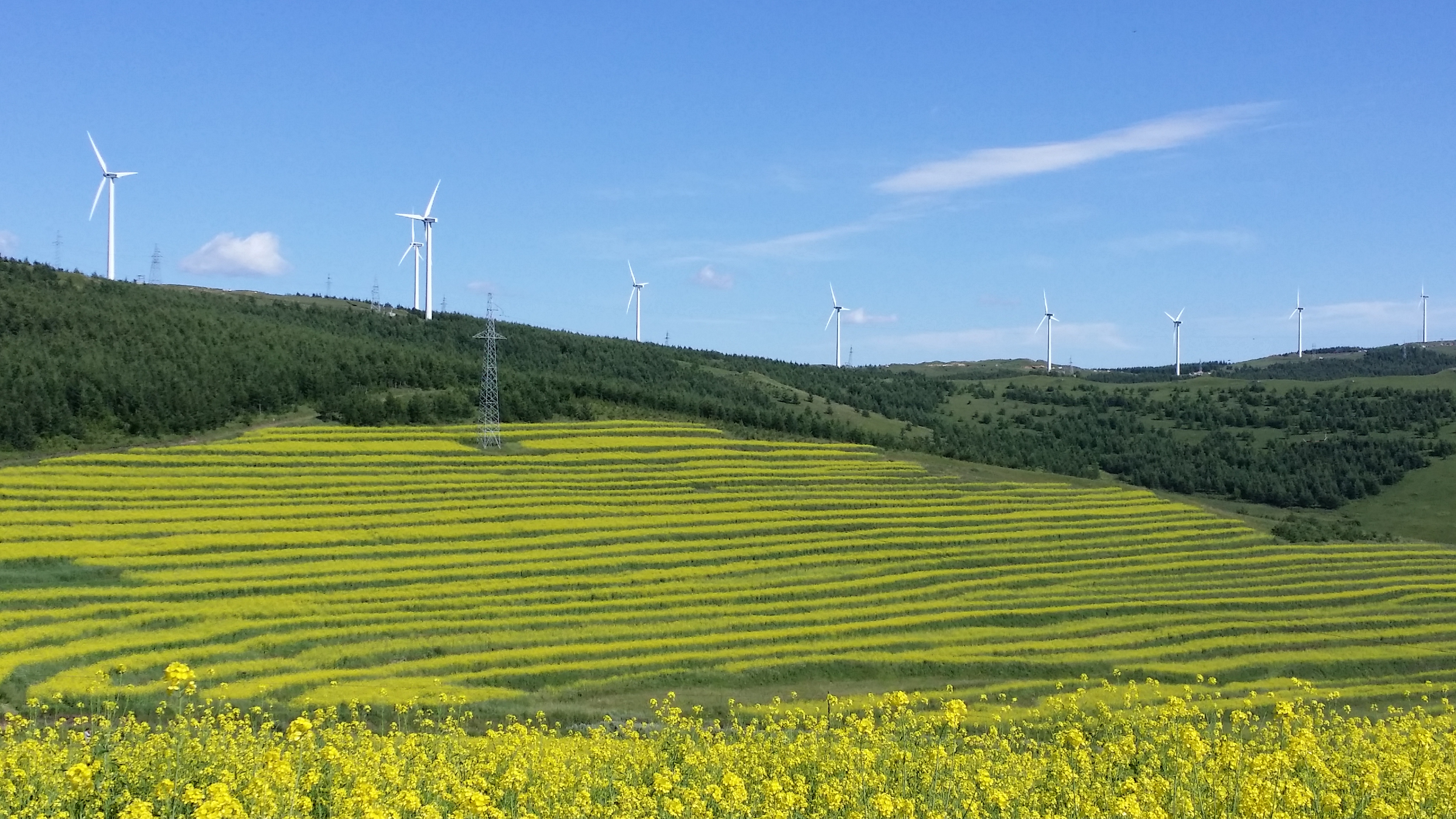 “十万亿”山东掀起了绿色能源变革