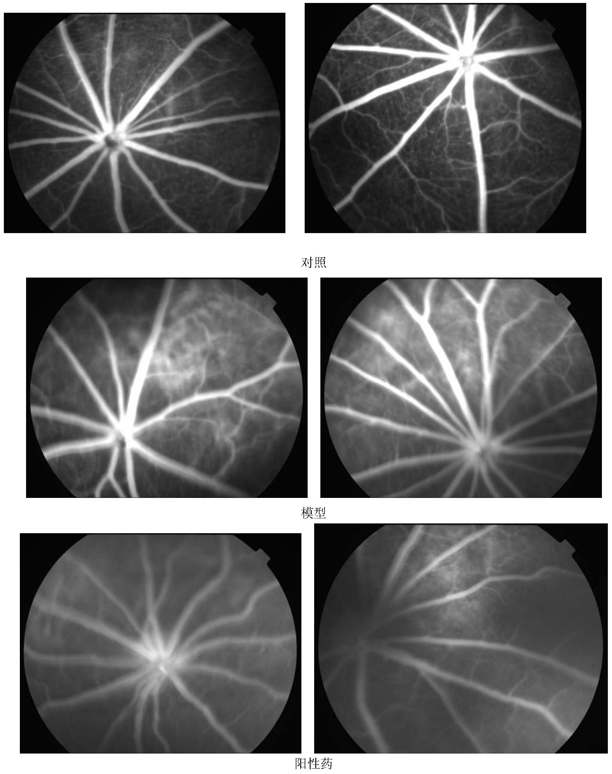 裕同科技获得发明专利授权：“生物基阻隔组合物及其制备方法、用于制备纸浆模塑制品的组合物和纸浆模塑制品”
