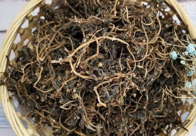 马年话马丨马尾松、马铃薯、马齿苋……盘点植物世界里的“马氏家族”