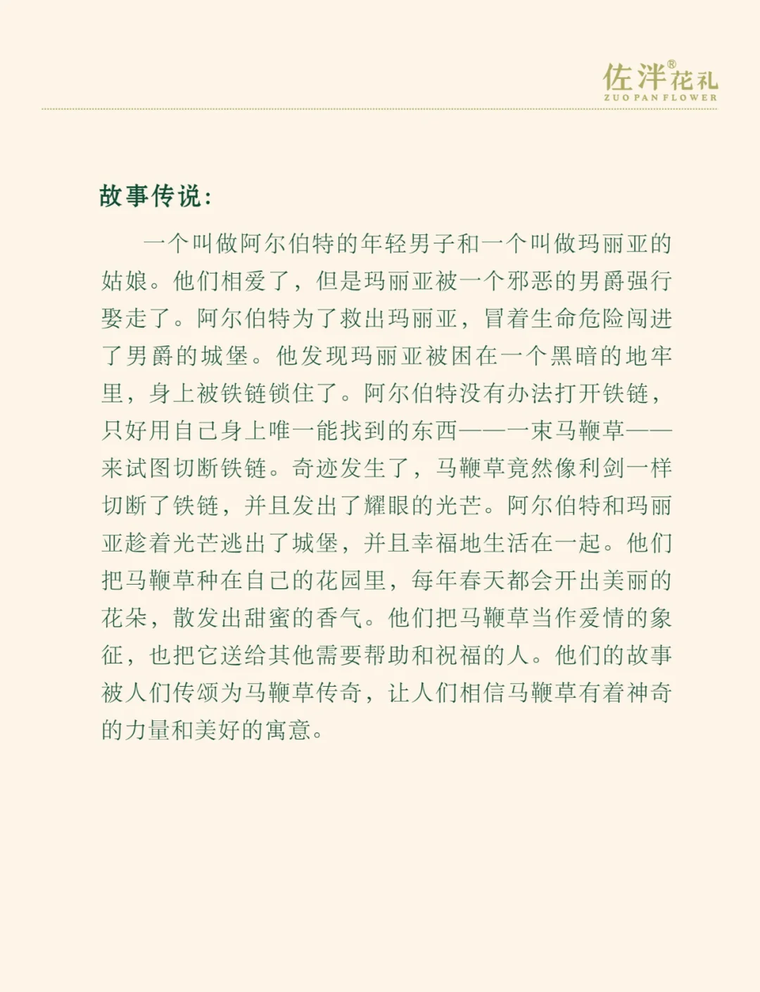 马年话马丨马尾松、马铃薯、马齿苋……盘点植物世界里的“马氏家族”