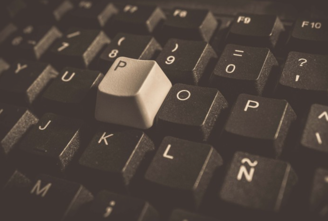 人保财险 ,人保有温度_2026年山茶油行业全景调研及发展前景预测