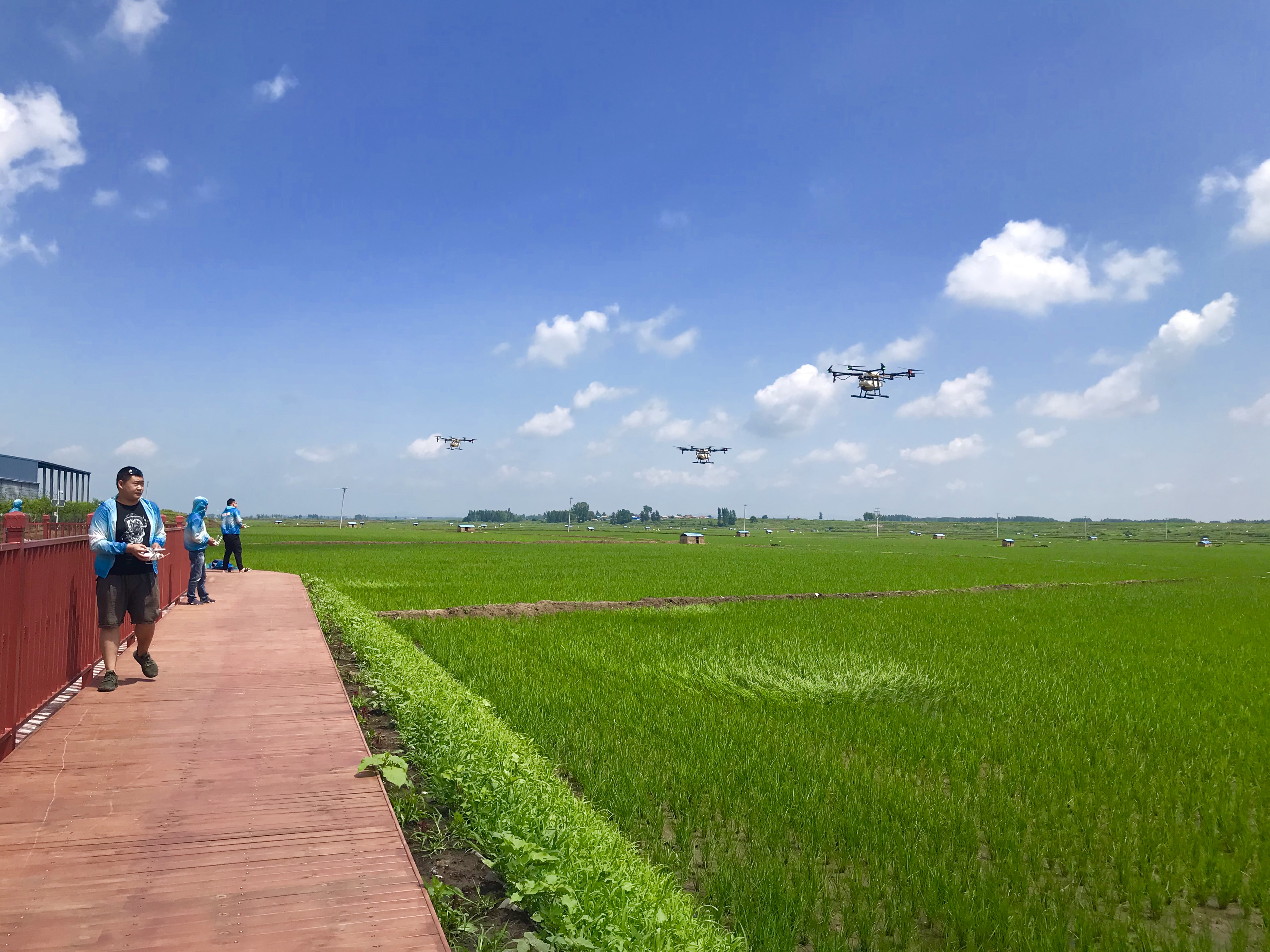 2026中国城市绿化行业：在绿色转型中重塑城市未来_人保车险   品牌优势——快速了解燃油汽车车险,人保有温度