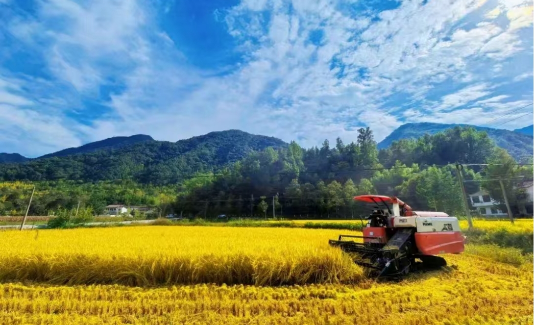 四部门：因地制宜打造休闲农业、乡村旅游、民宿经济、电商直播等新产业、新业态金融服务模式