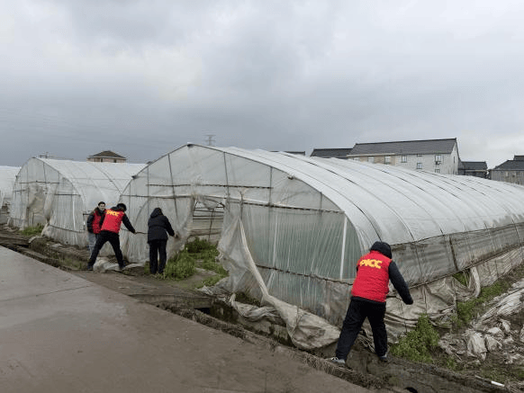 2026年粉煤灰行业发展前景预测及投资战略研究_人保财险 ,人保有温度