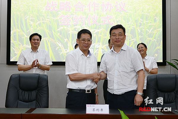 2026年粉煤灰行业发展前景预测及投资战略研究_人保财险 ,人保有温度