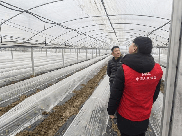 2026年粉煤灰行业发展前景预测及投资战略研究_人保财险 ,人保有温度