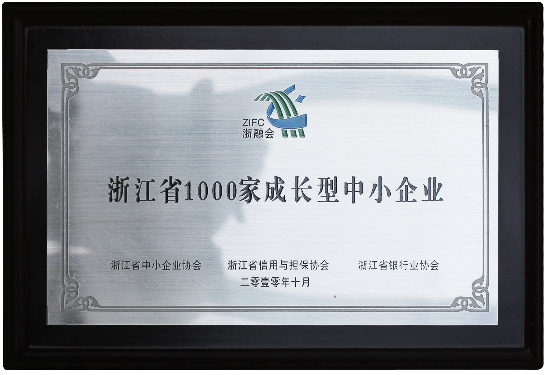 中国科技型中小企业走向旷野