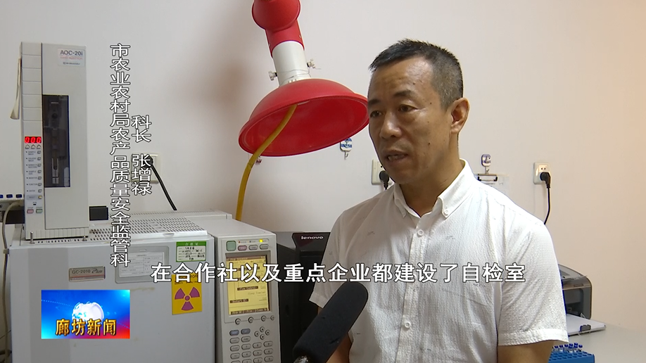 松原安全：截至2026年2月13日，公司股东共计10,516名