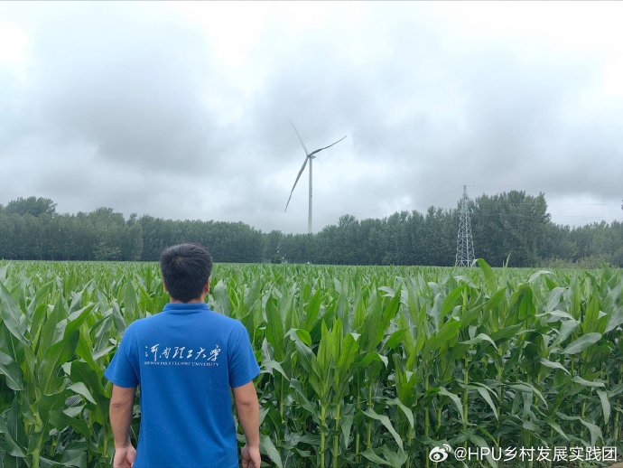 在动摇与龟裂中寻找立足点