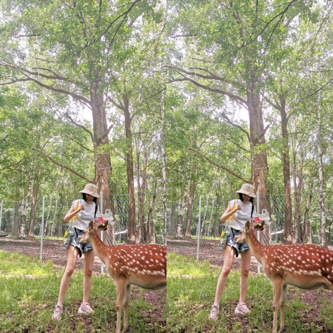 从“皇家鹿苑”到百亿产业链 中国梅花鹿之乡吸引上市公司抢滩