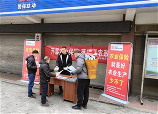 2026年红枣种植行业市场深度调研及发展趋势预测_保险有温度,人保财险 