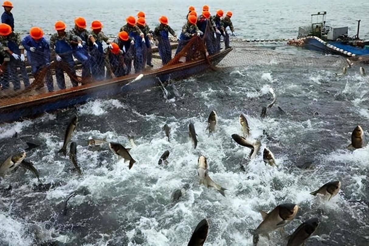 今日看点｜国新办将举行长江十年禁渔中期评估成果和五年来阶段性成效新闻发布会