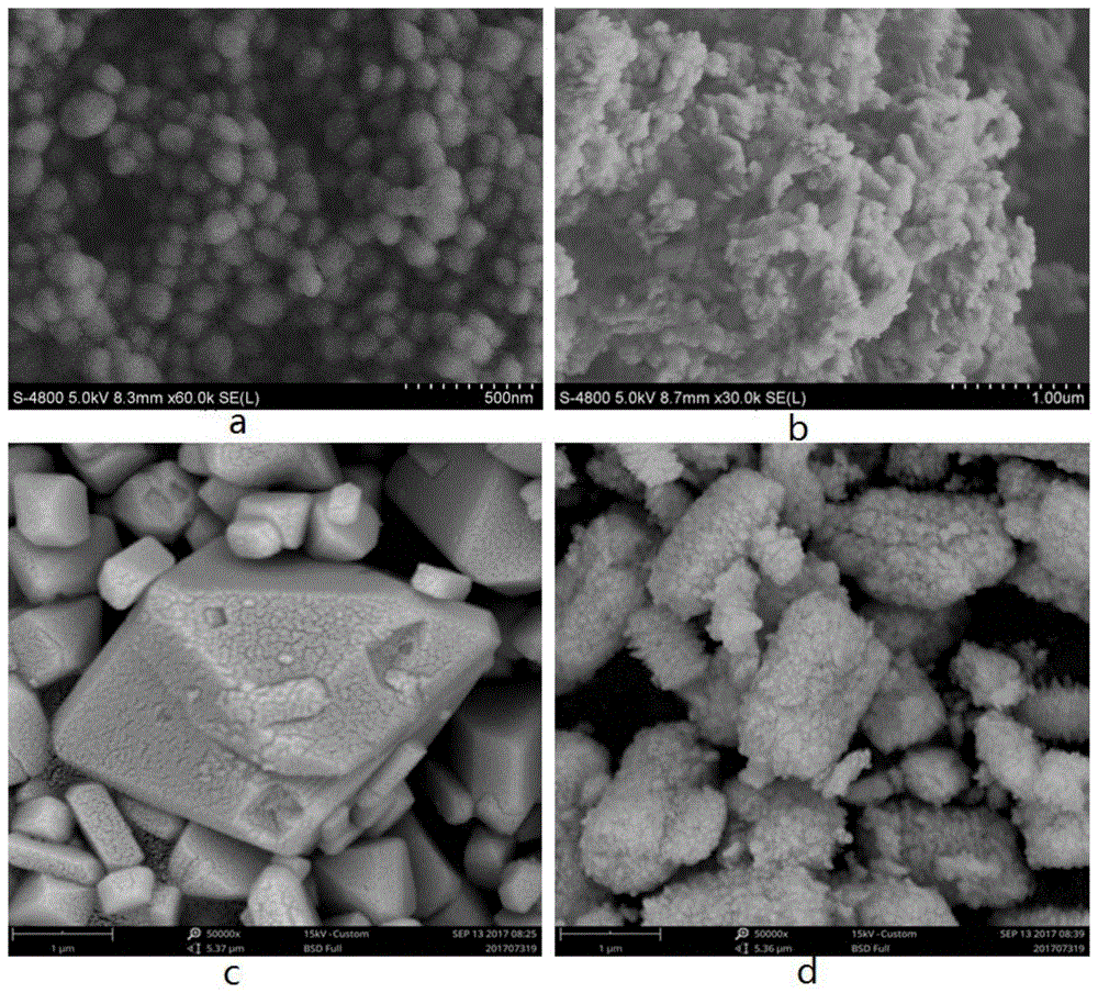 中触媒获得发明专利授权：“镓或铟掺杂S-1分子筛封装金属催化剂及其制备方法与应用”