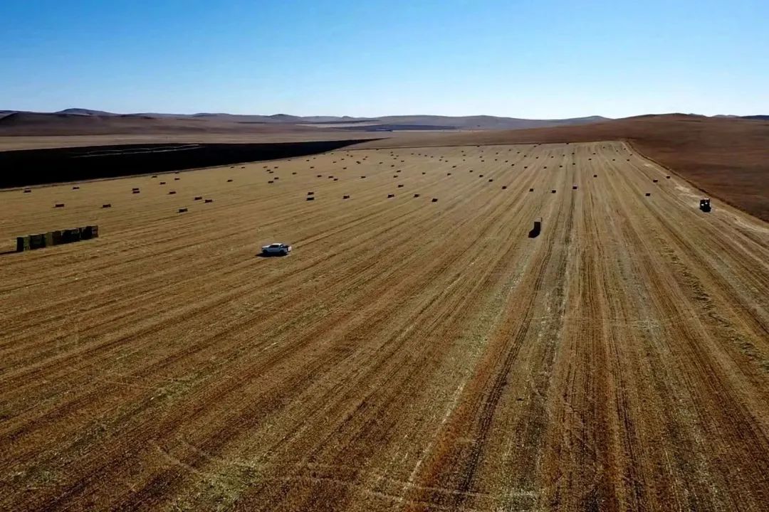 蒙草生态获得实用新型专利授权：“一种草料杂物二次回收利用装置”