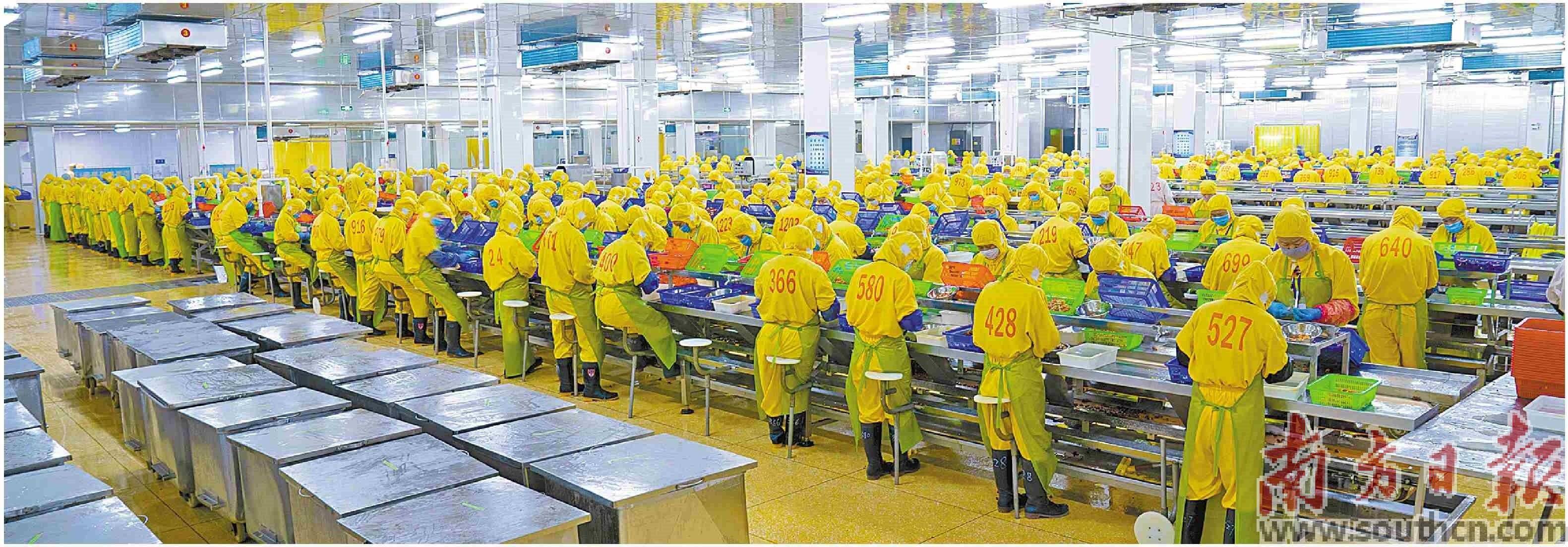 六年深耕拓蓝海,绿动乡村启新程