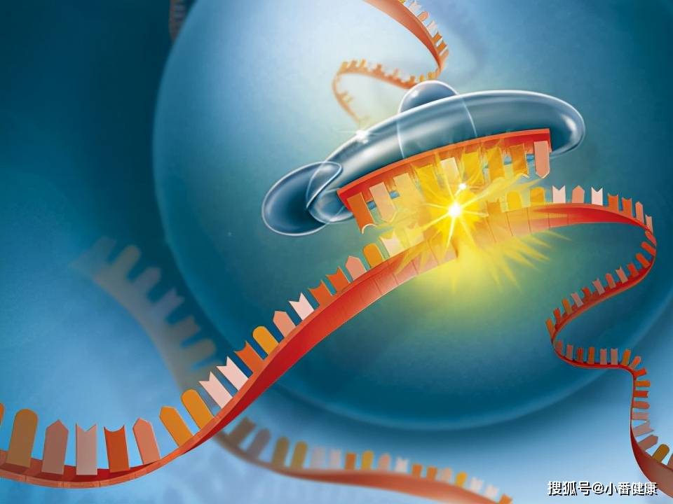 科学界神雕侠侣，“吵”出一款世界级新药