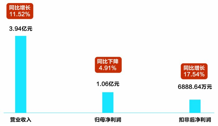 天融信：根据深交所主板上市公司相关规则，目前公司无需披露2025年度业绩快报