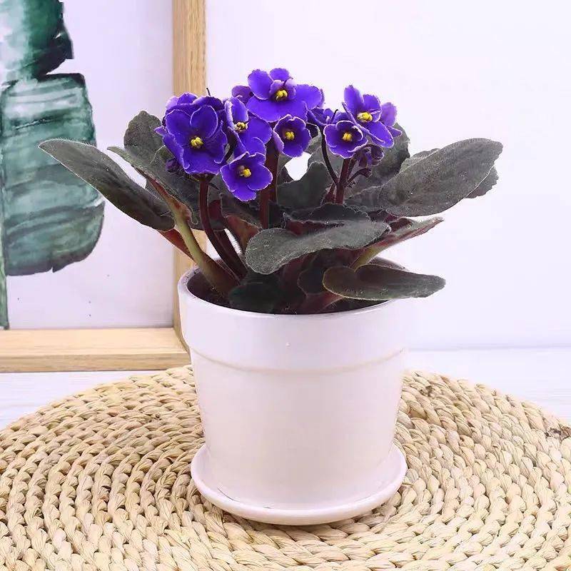 景�绻堇镉鲈抡�