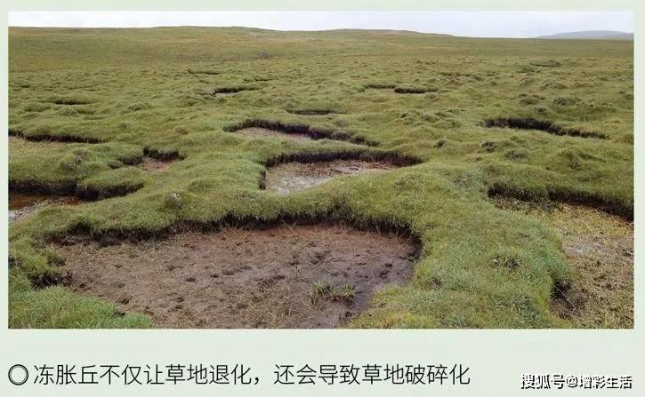 中国石油获得发明专利授权：“一种孔隙压力预测方法及装置”