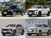 人保财险政银保 ,拥有“如意行”驾乘险，出行更顺畅！_2026-2030年中国颗粒剂行业：大健康消费驱动，功能性食品颗粒与OTC市场的创新增长点