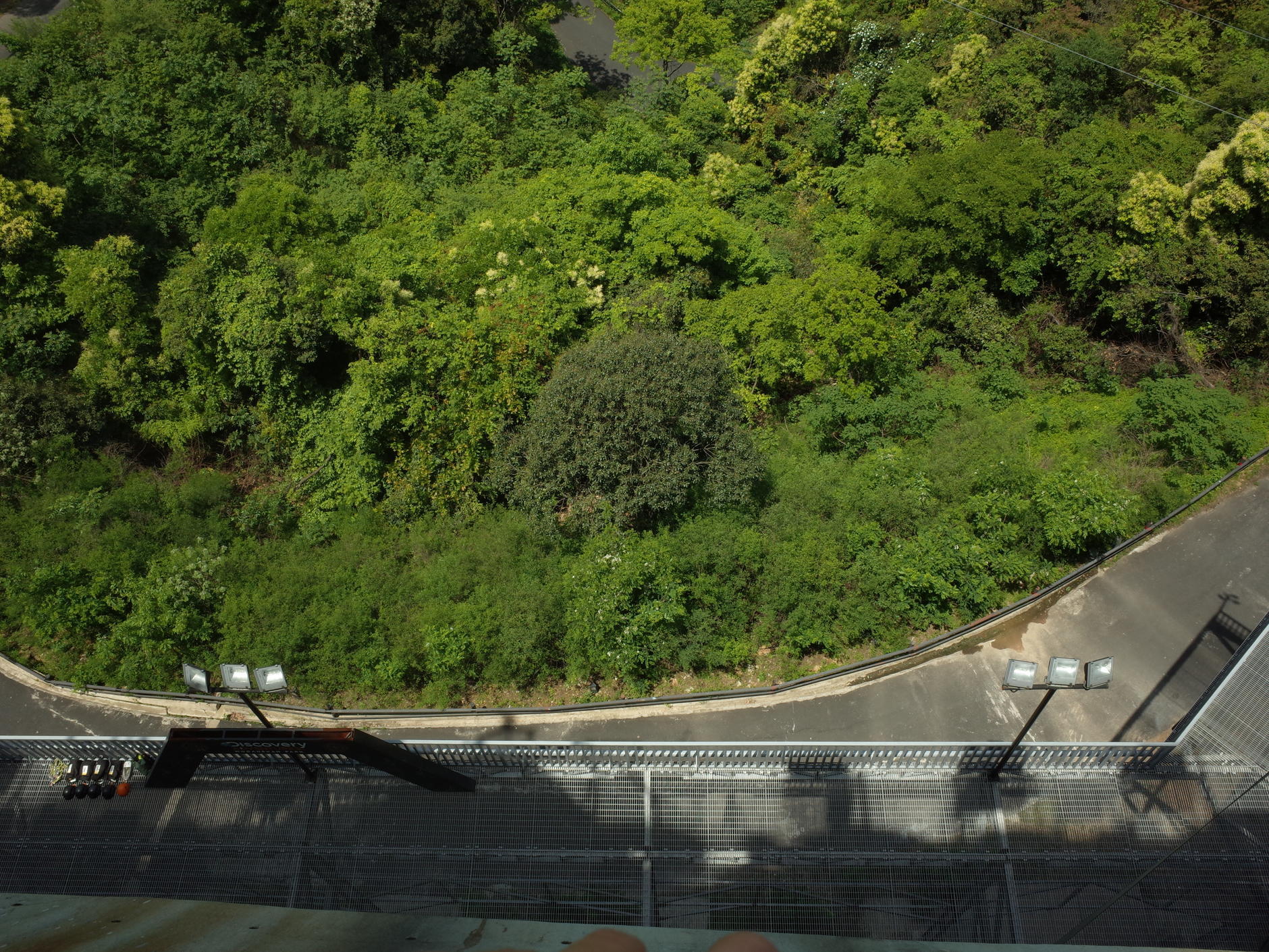 还没讲完的“莫干山会议”（上）