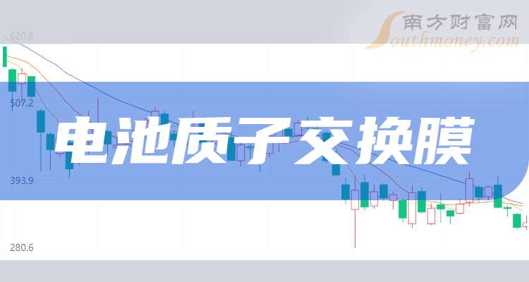 人保财险政银保 ,人保护你周全_2026-2030年质子交换膜燃料电池行业市场需求与发展趋势预测研究分析