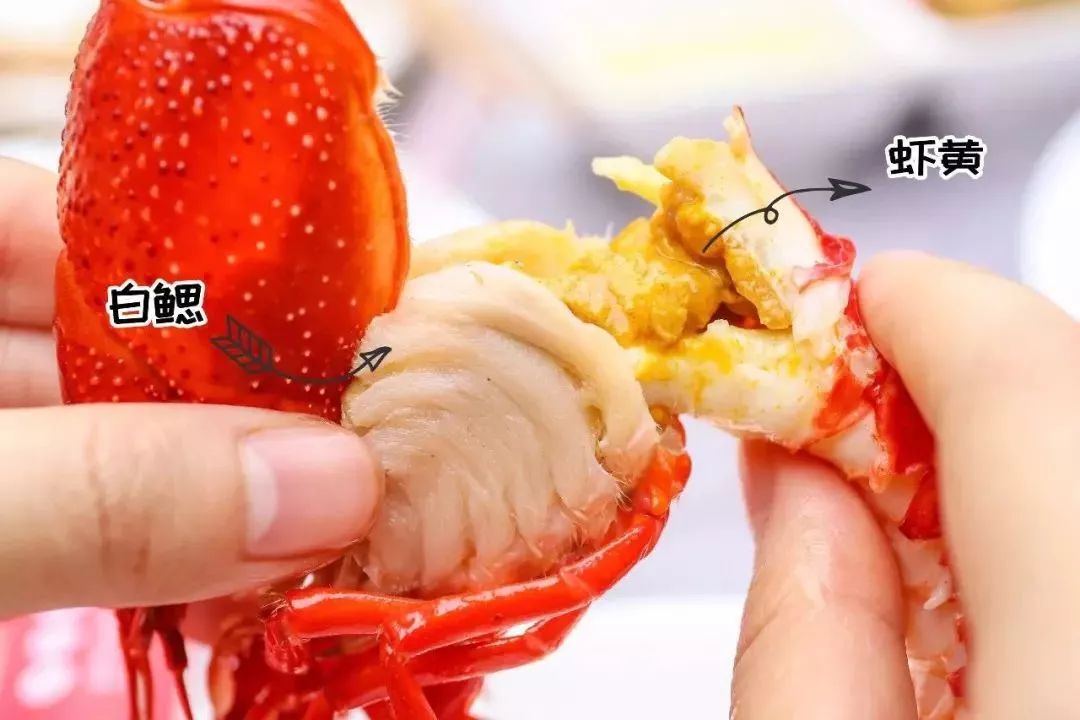 抖音警示“龙虾”相关安全问题