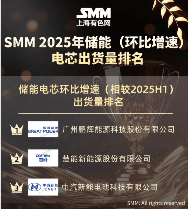湖北楚能新晋、鹏辉能源重返 2025年全球储能电池出货量TOP10出炉