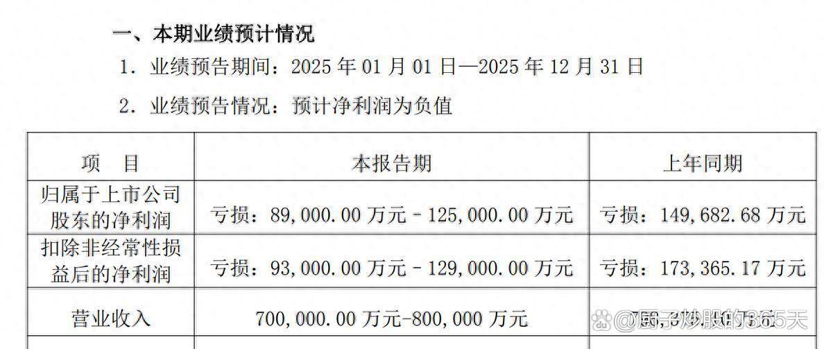 湖北楚能新晋、鹏辉能源重返 2025年全球储能电池出货量TOP10出炉