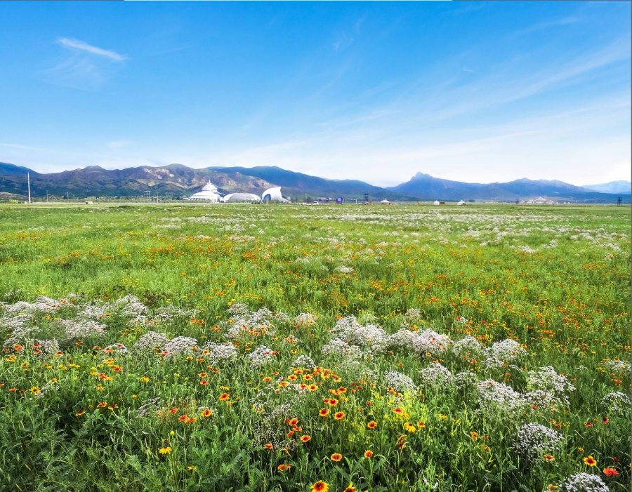 蒙草生态获得实用新型专利授权：“一种用于沙地飞播种子锥制作的装置”