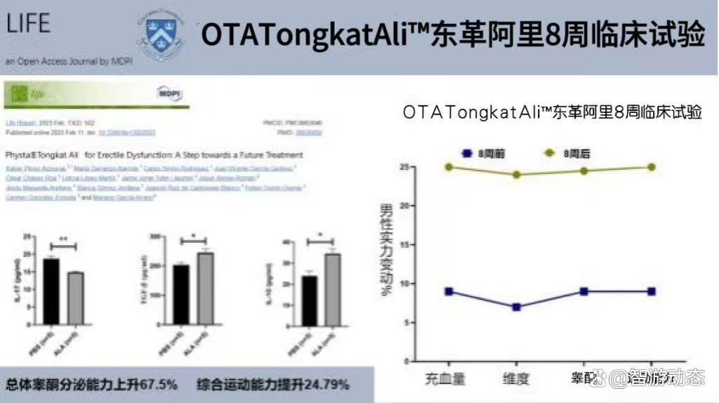 阿里巴巴公布新专利 可提升模型的推理能力