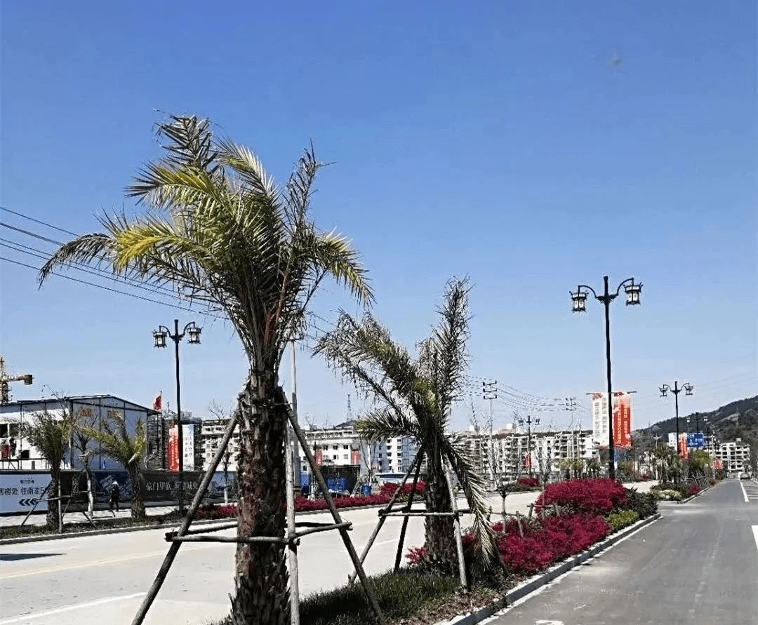 天有为：重点深耕海外市场与优质项目，不断扩大业务规模与增量空间