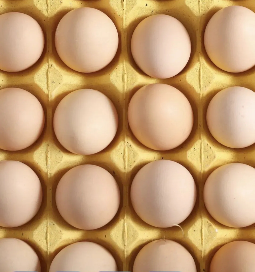 黄天鹅声明：鸡蛋不添加人工合成色素