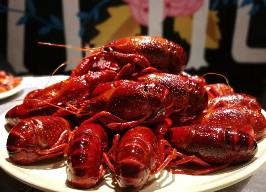 “龙虾”爆火别着急尝鲜