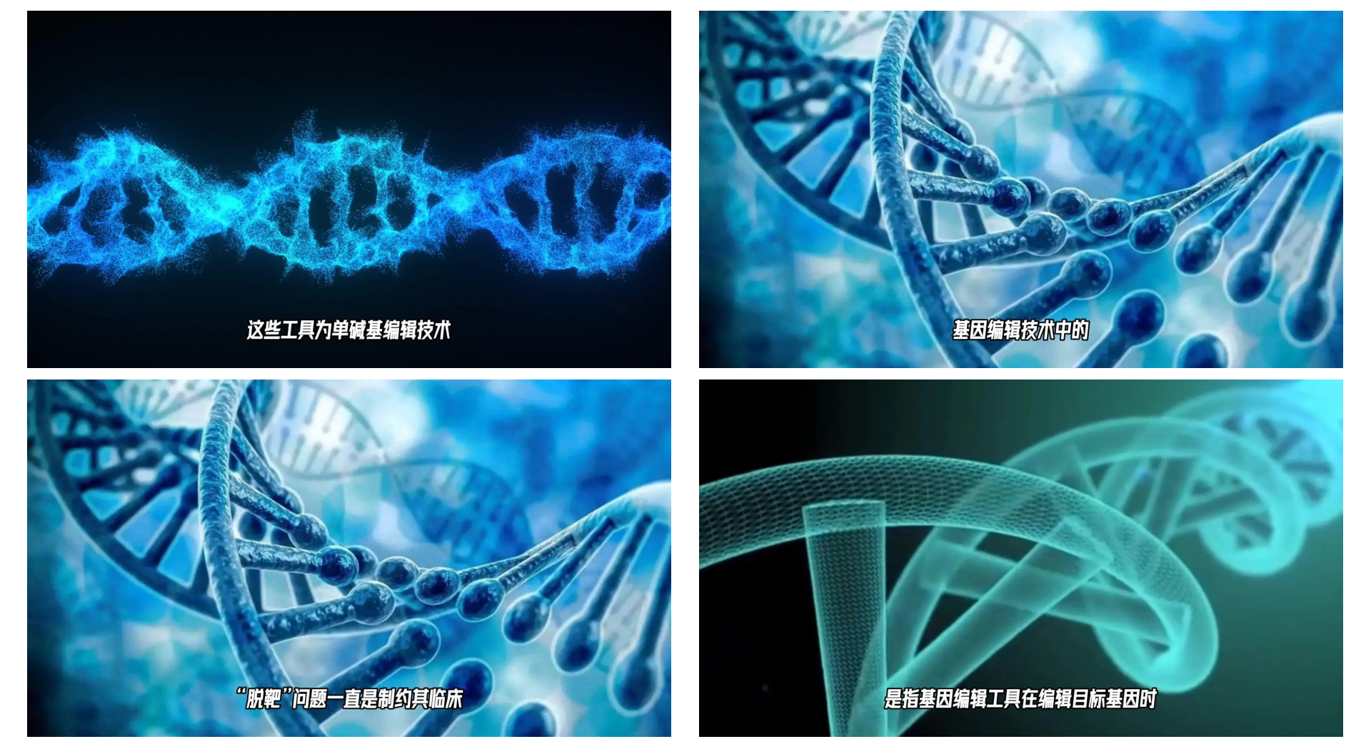 重要突破!1型糖尿病治疗迎曙光 干细胞技术从实验室研究迈向临床转化的关键跨越_人保财险政银保 ,人保伴您前行