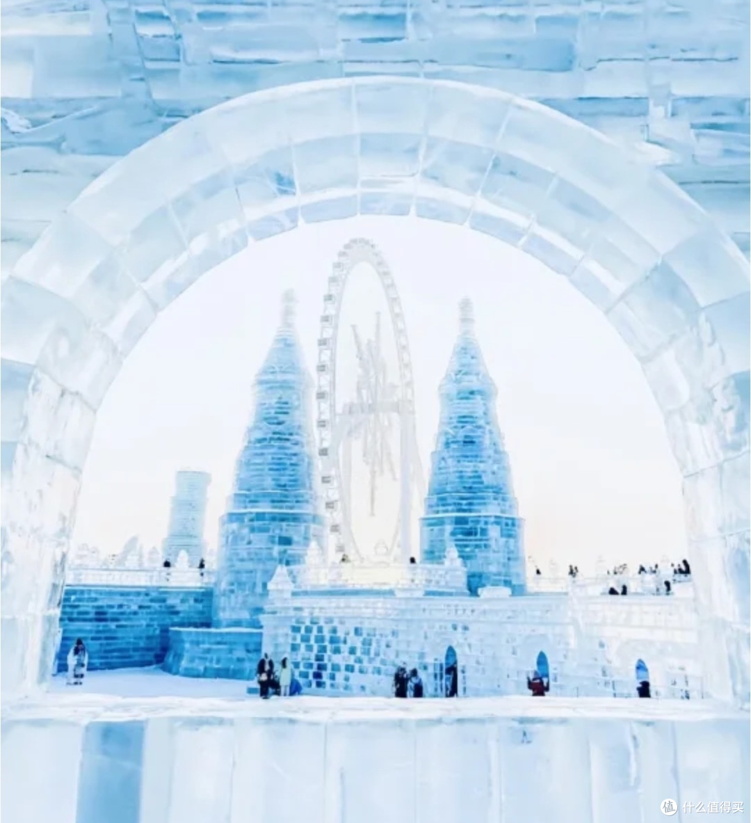 在哈尔滨，赴一场冰雪之约 | 故乡里的中国