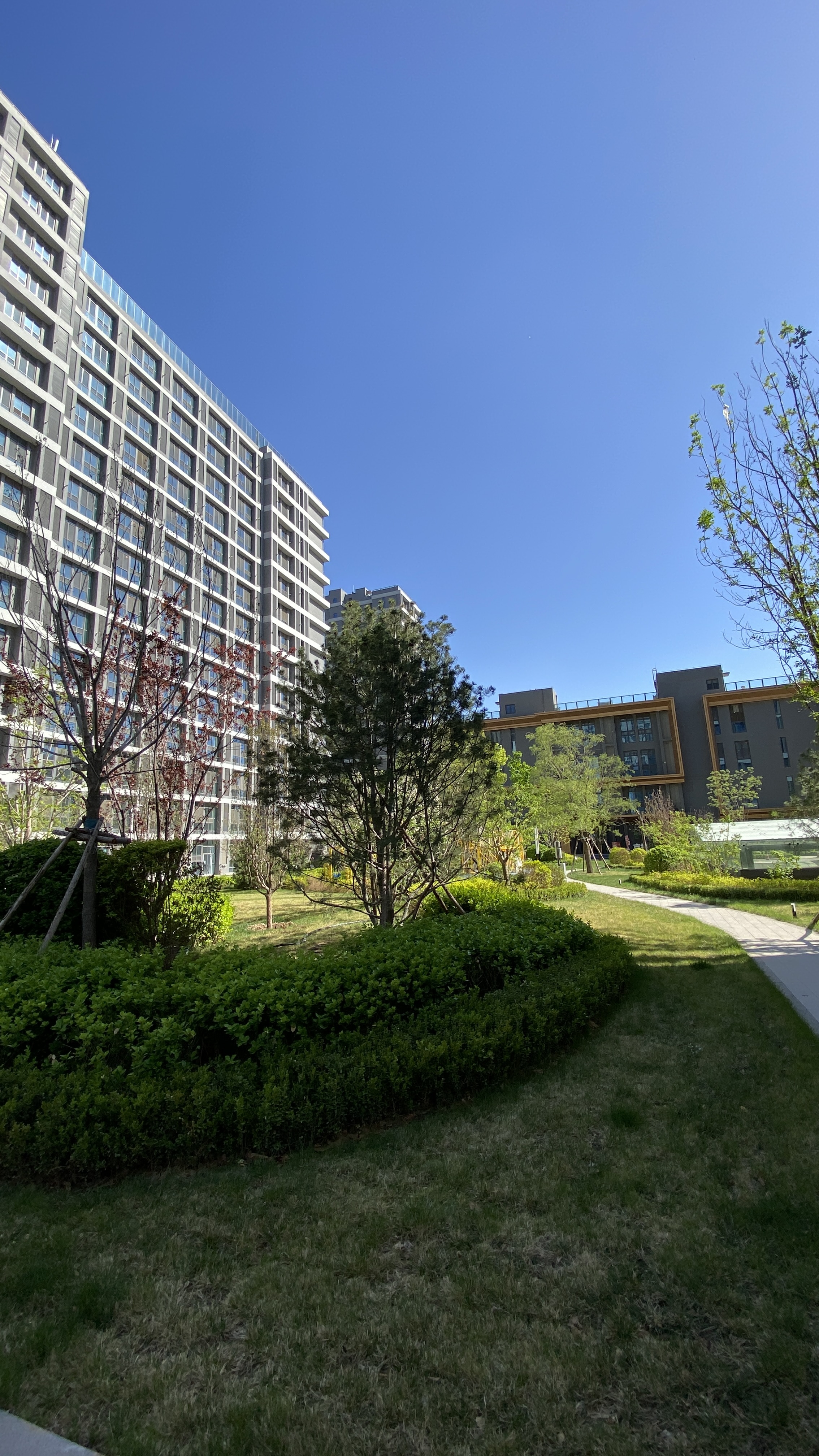 京投发展涨停，上榜营业部合计净买入2303.27万元