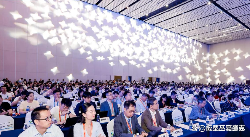 人保服务 ,人保护你周全_2026板栗行业市场现状及供需格局、未来前景深度分析